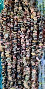 ریسه سنگ شکسته - Image 3