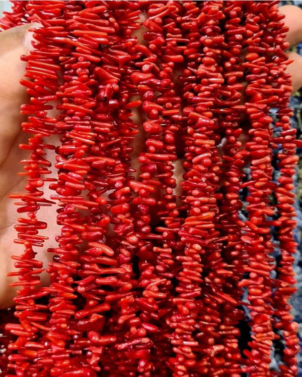 ریسه مرجان - Image 1