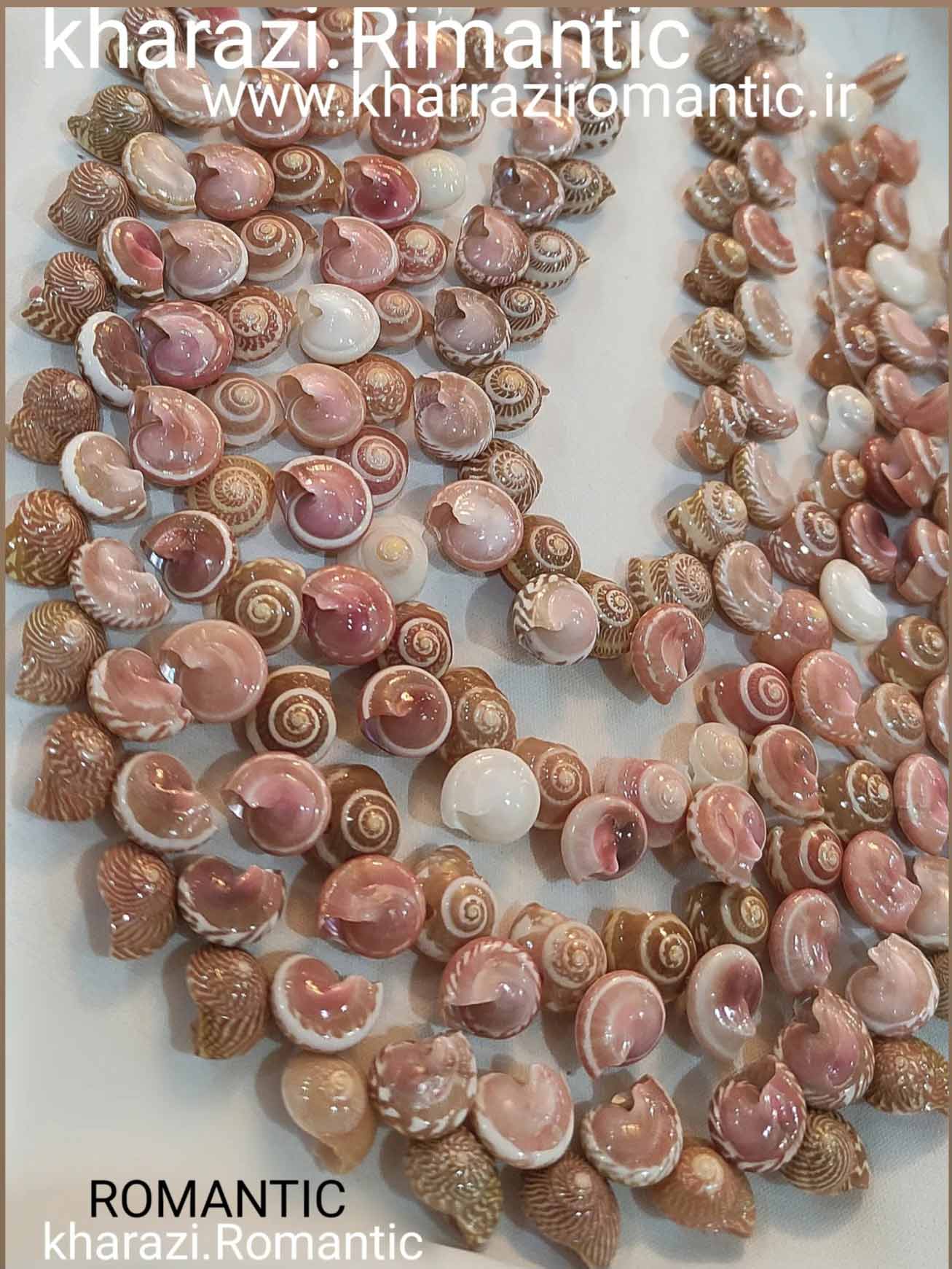 Screenshot_۲۰۲۵۱۰۰۷_۲۲۴۹۱۵_Instagram ریسه صدف طبیعی زیورآلات کد 6 - Image 1