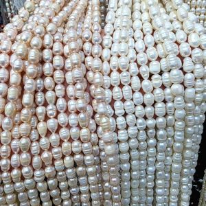 ریسه مروارید پرورشی گندمی